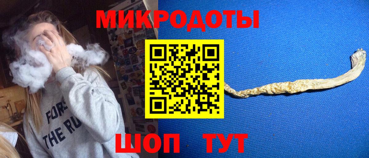 Псилоцибиновые грибы Psilocybine cubensis Камышлов