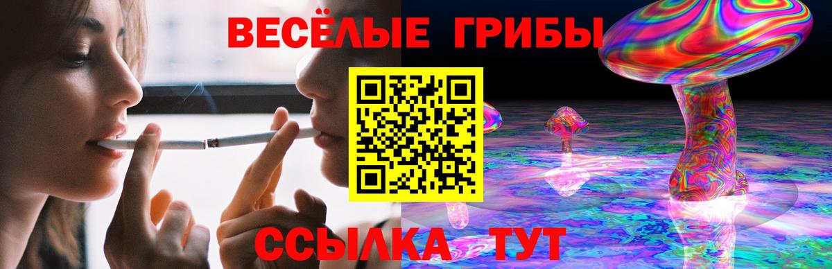 Псилоцибиновые грибы Psilocybine cubensis  Галлюциногенные грибы MAGIC MUSHROOMS  Камышлов  Вход с VPN 